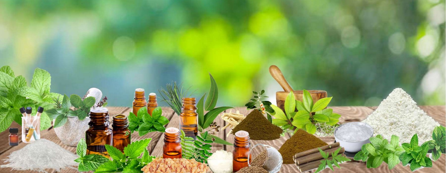 hindustan-mint-agro-ltd-1896x736w